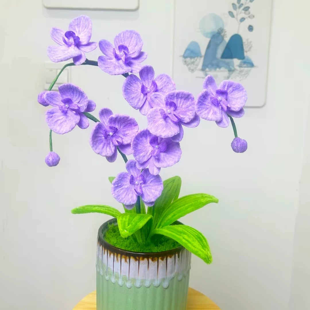 SG61: Singapore National Day Orchid Flower Pot Making