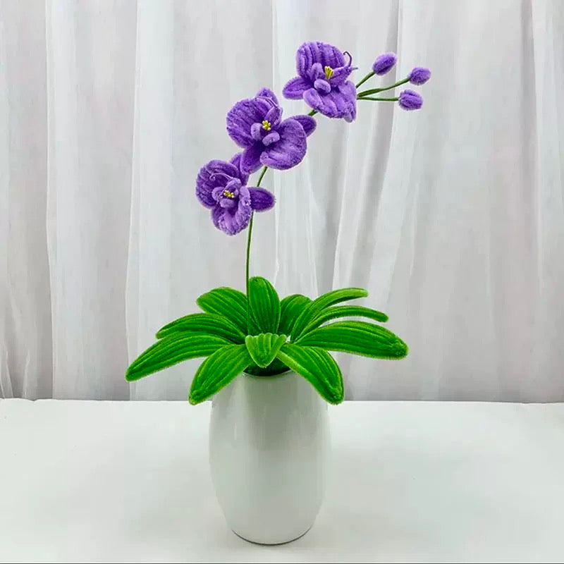 SG61: Singapore National Day Orchid Flower Pot Making
