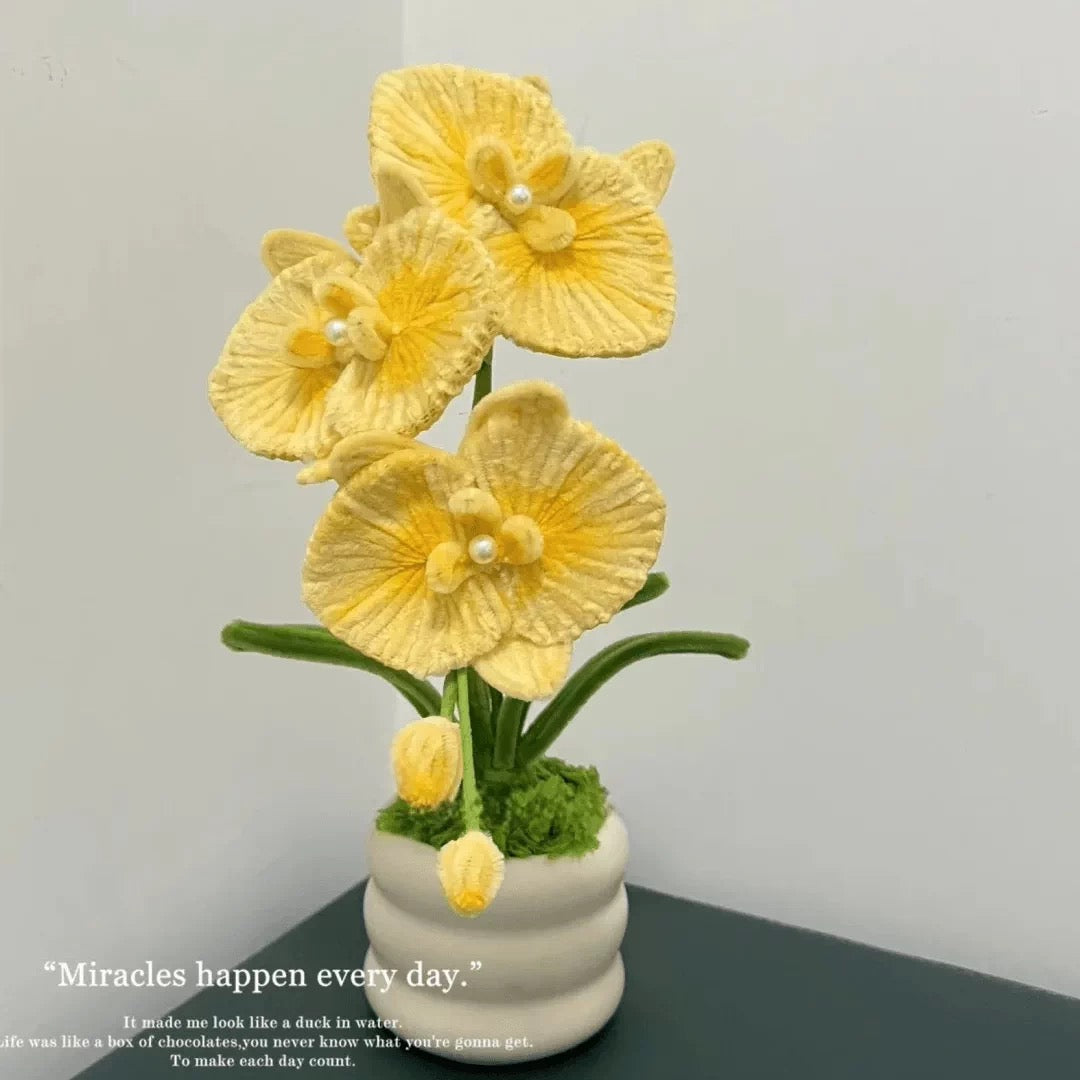 SG61: Singapore National Day Orchid Flower Pot Making