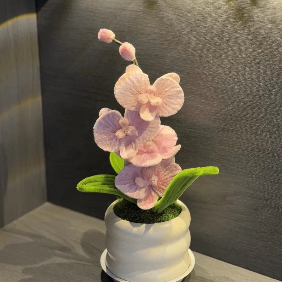 SG61: Singapore National Day Orchid Flower Pot Making