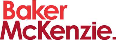 logo 13